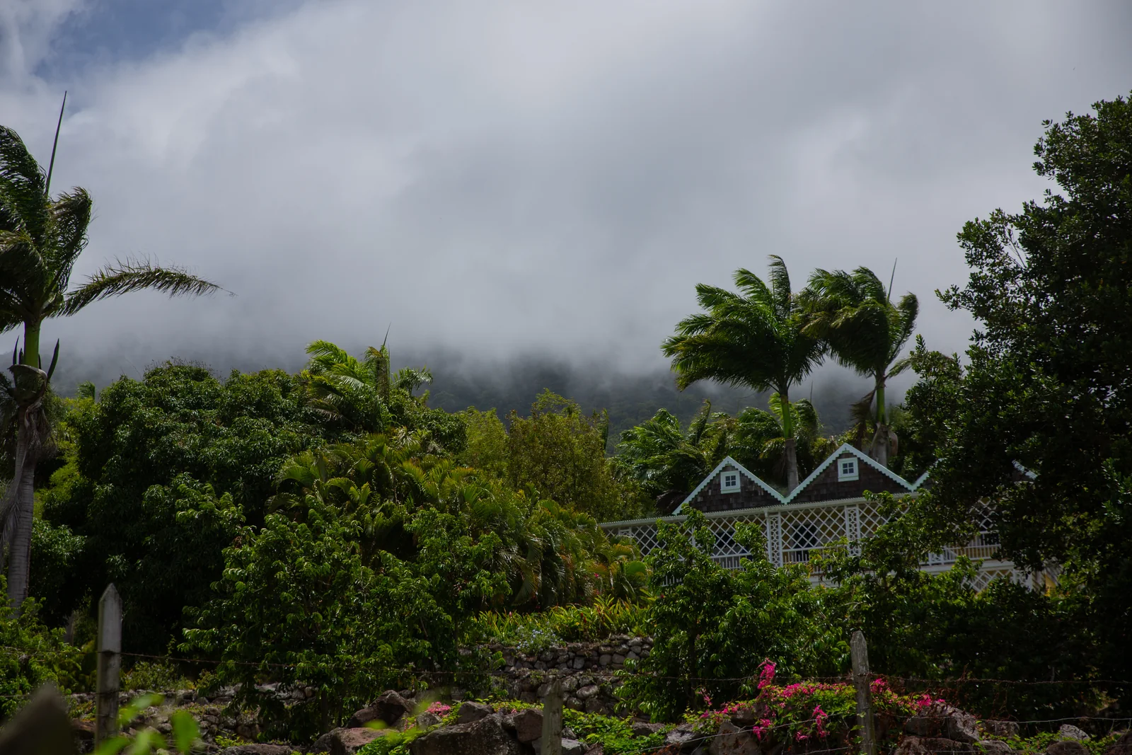Cloud covering the rainforested slopes of Nevis Peak above a white gingerbread building on the Hermitage estate