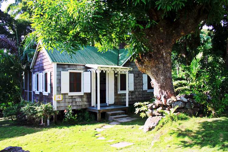 Traditional Nevis house under a mango tree